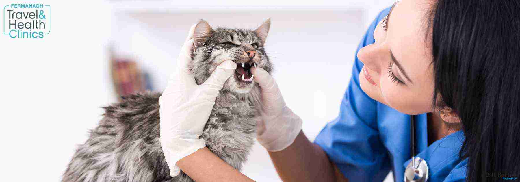 rabies vaccine Fermanagh