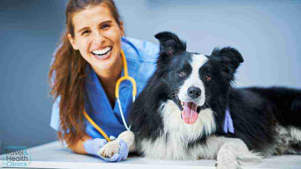 rabies vaccine in fermanagh
