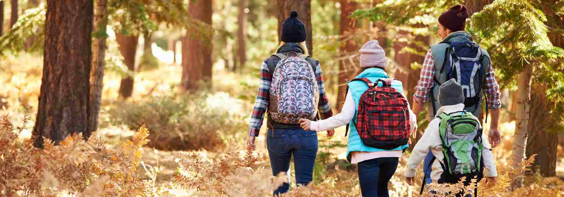 family-walk-winter-vaccine-internal