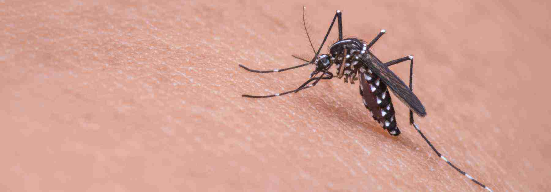 Buy Malaria tablets in the UK