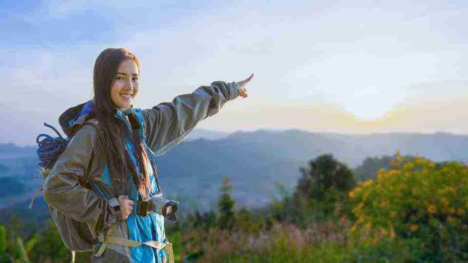 Healthy traveller