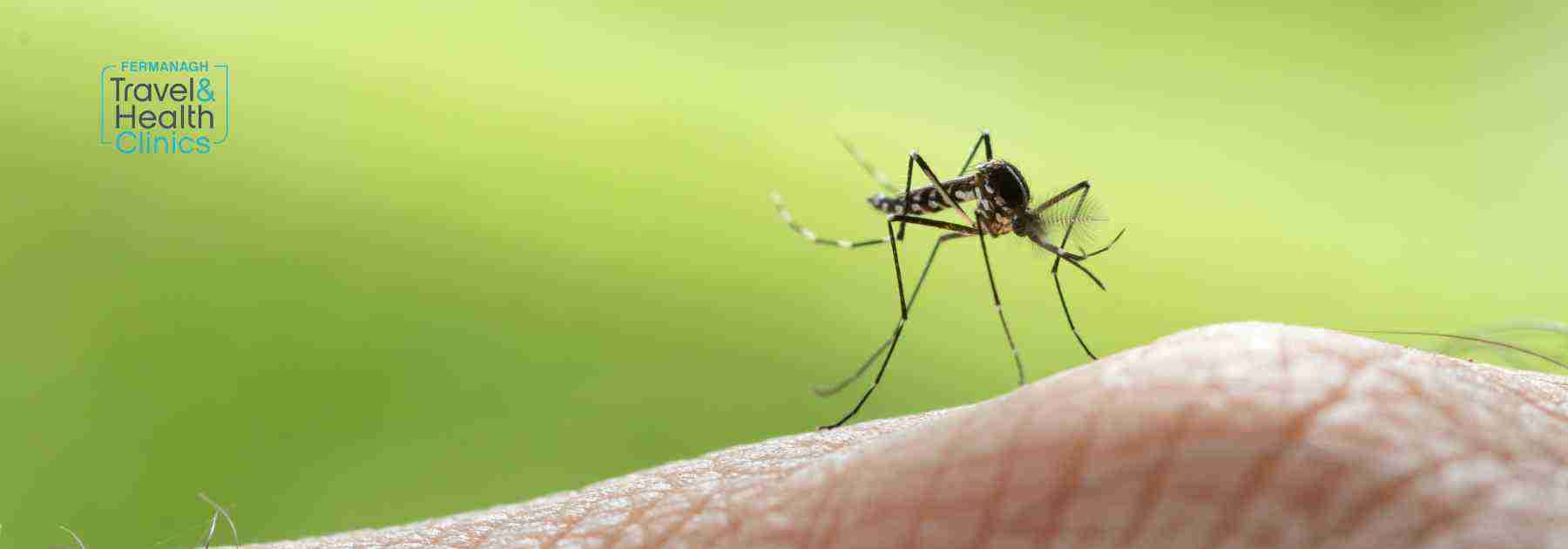 Mosquitos can pass on malaria