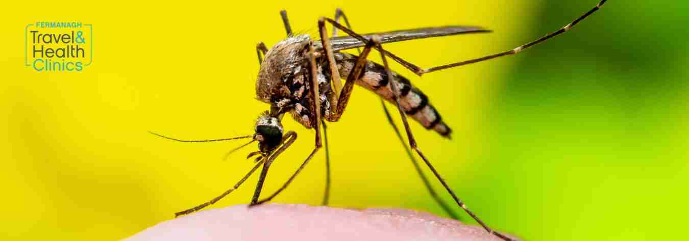 Mosquito insect repellent 