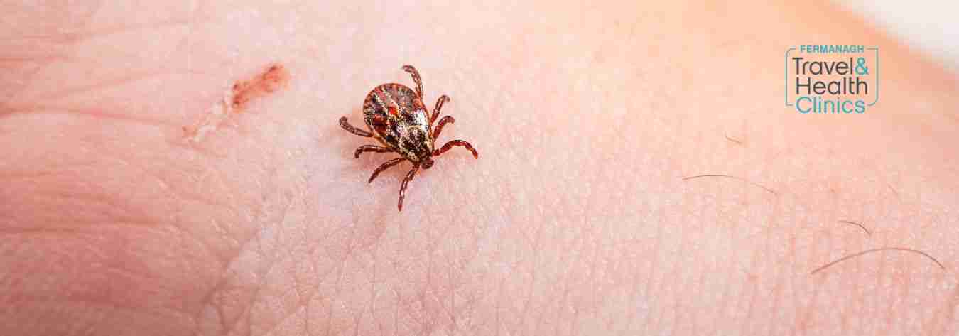 Tick insect on arm